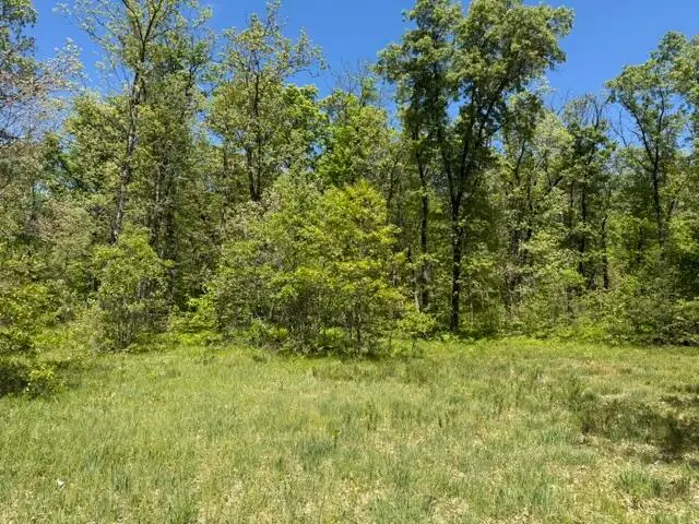 Parcel B W Usfs 5196, Baldwin, MI 49304 - #1