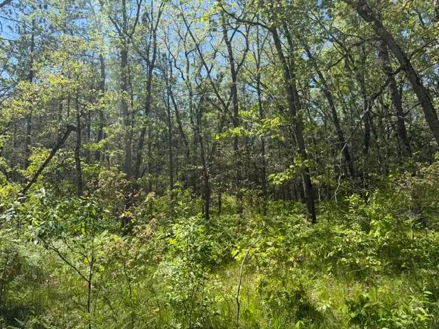 Parcel B W Usfs 5196, Baldwin, MI 49304 - #3