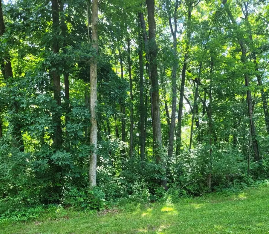 11839 Vicary Road, Jerome, MI 49249 - #2