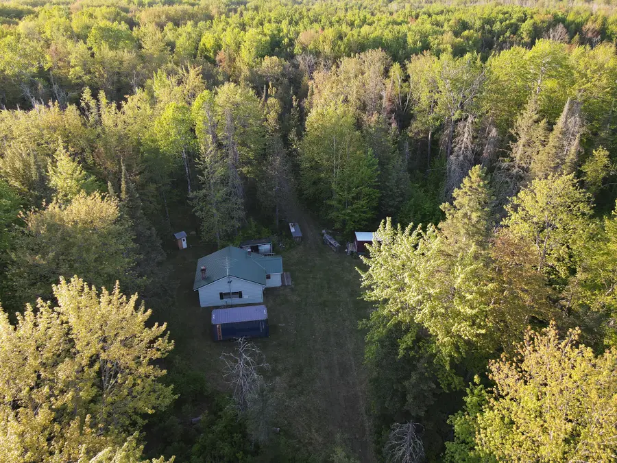 V/L 33 Road, Perkins, MI 49837 - #2