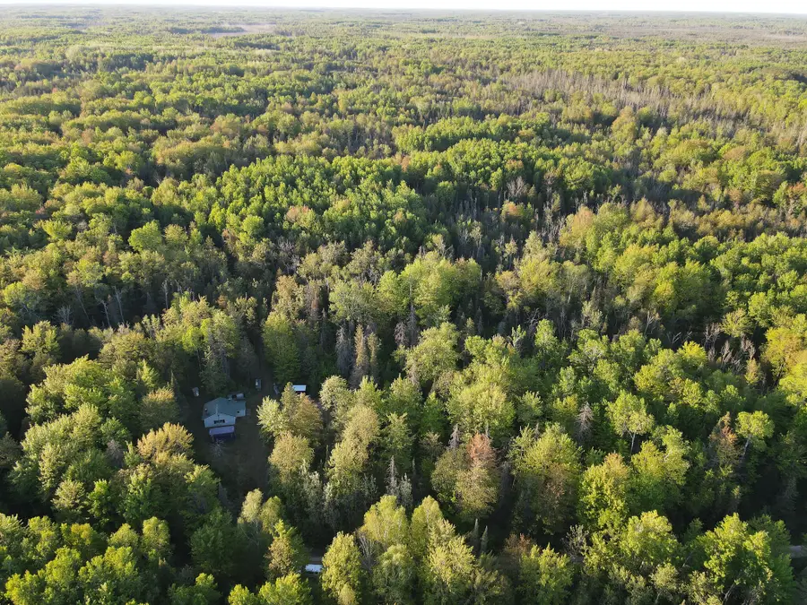 V/L 33 Road, Perkins, MI 49837 - #3