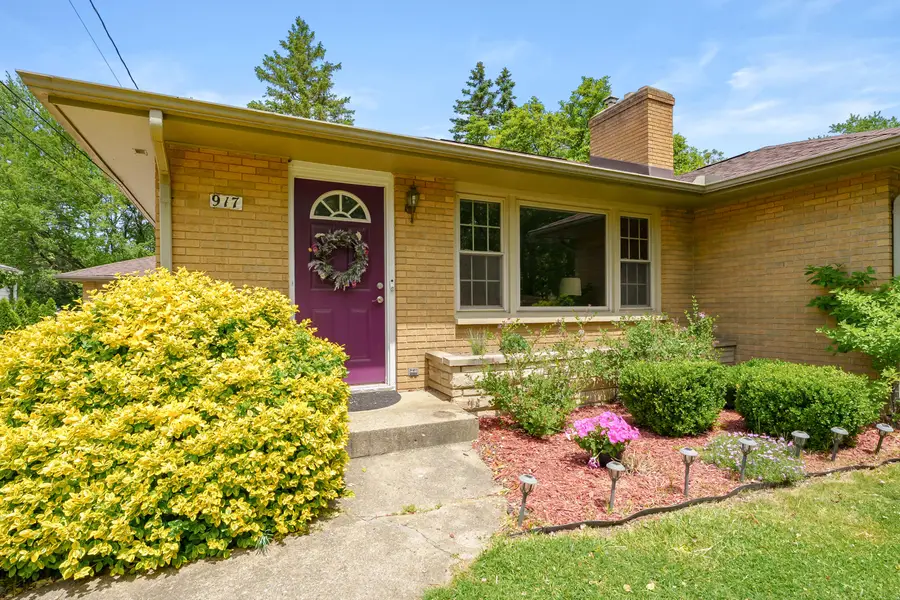 917 Roseland Avenue, Kalamazoo, MI 49001 - #2