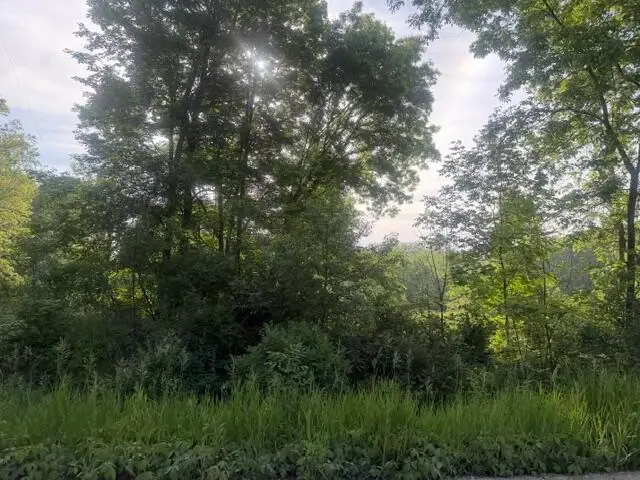 Muskegon Boulevard, Newaygo, MI 49337 - #2
