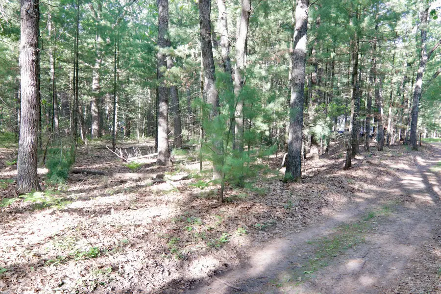 V/L W Cypress Avenue, Baldwin, MI 49304 - #3