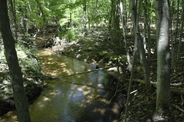 W Marshville Dam Road, Shelby, MI 49455