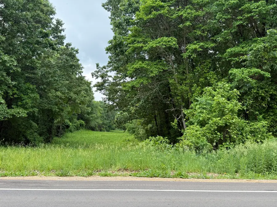 VL 28 Mile Road, Albion, MI 49224 - #3