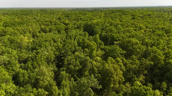 W 7 Mile Road, Irons, MI 49644