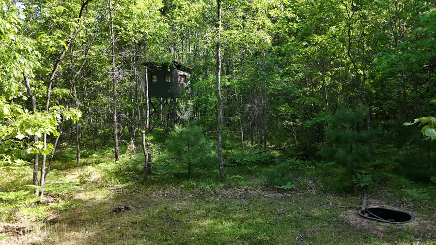 W 7 Mile Road, Irons, MI 49644 - #2