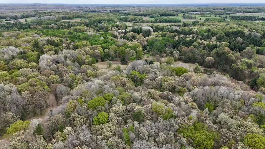 6153 S Branch Road, Branch, MI 49402 - #3