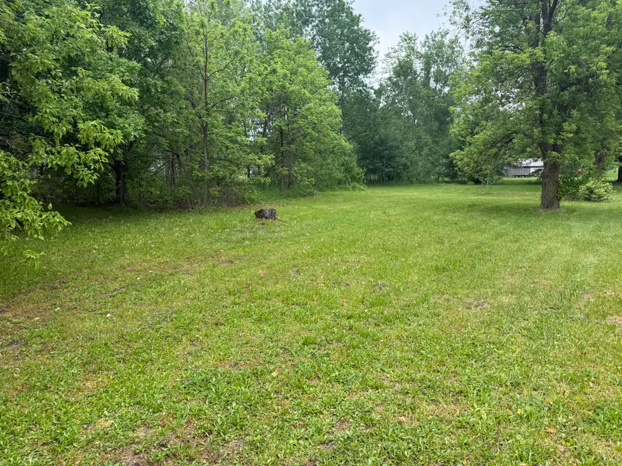 108 E North Street, Edmore, MI 48829 - #3