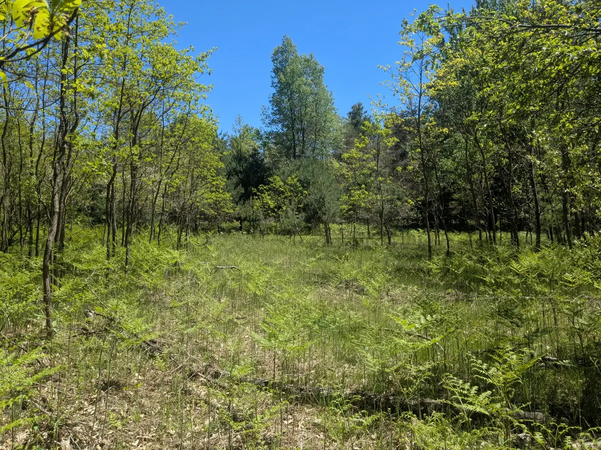 40ac V/L Clements Road, Kaleva, MI 49645 - #1