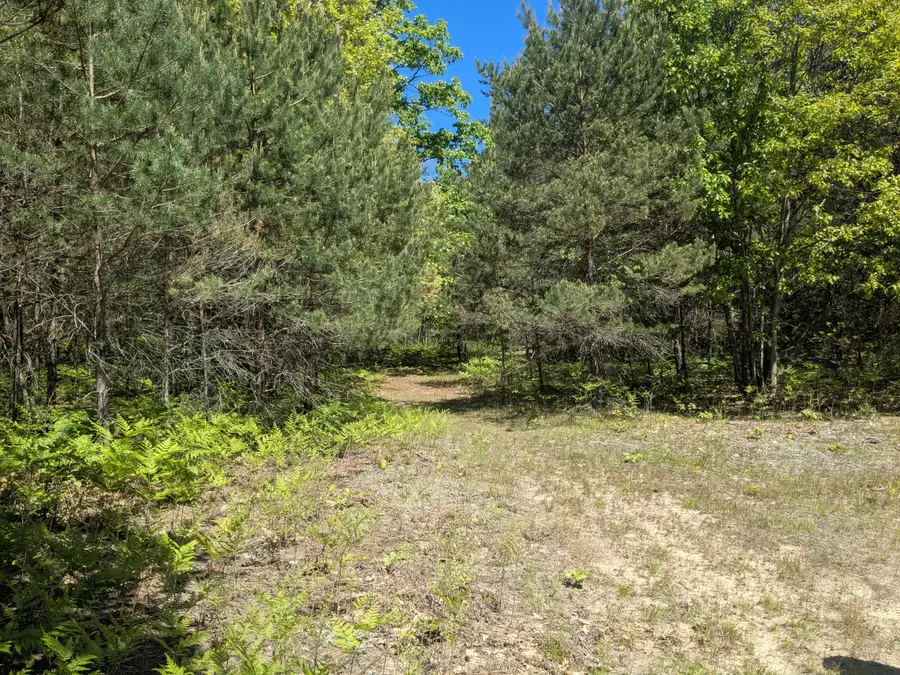 40ac V/L Clements Road, Kaleva, MI 49645 - #2
