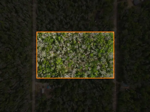 Dorsey Drive, Baldwin, MI 49304