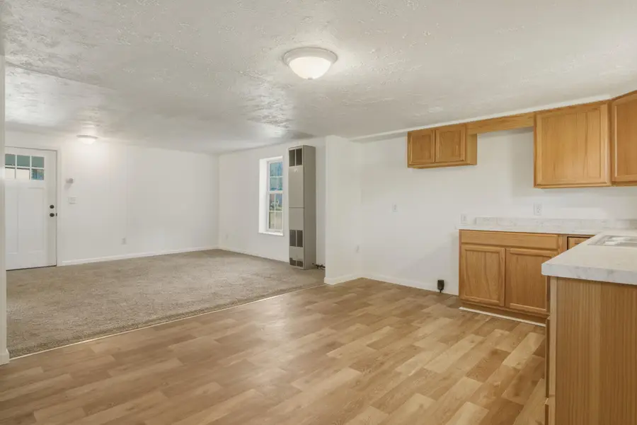 209 S River Street, Evart, MI 49631 - #3
