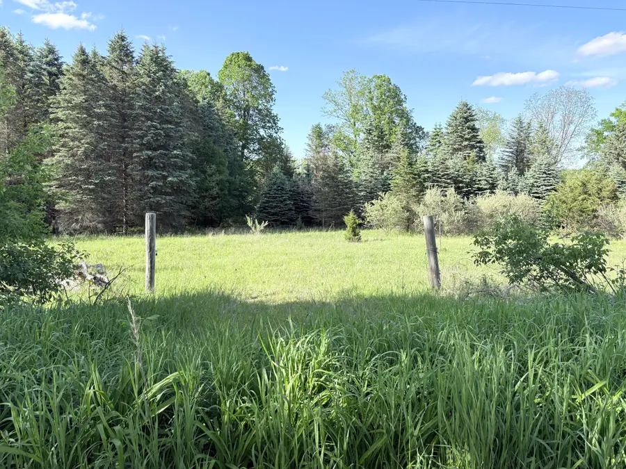 W Riverside Drive, Ionia, MI 48846 - #2