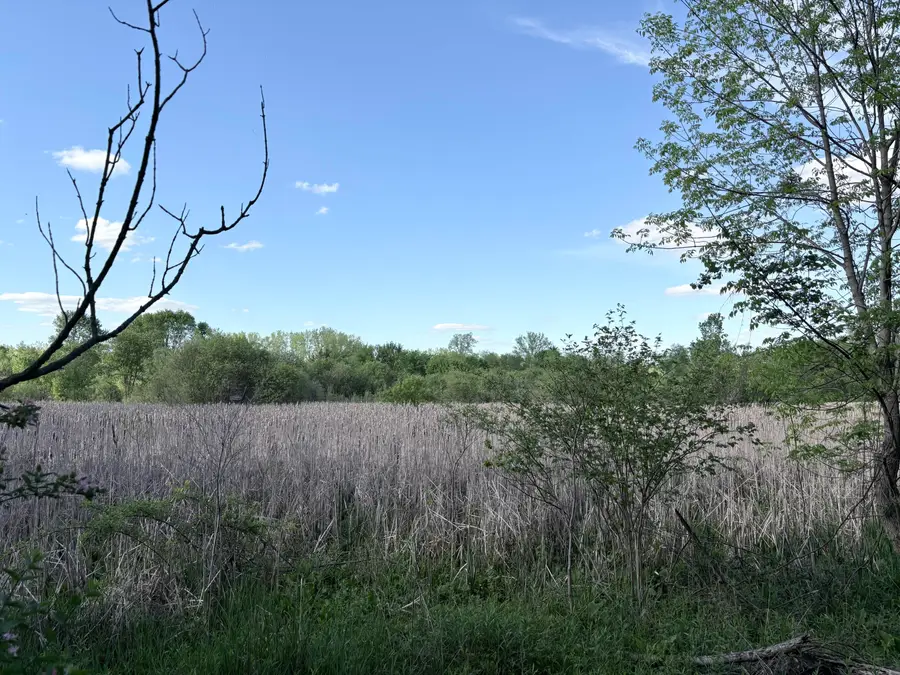 W Riverside Drive, Ionia, MI 48846 - #3