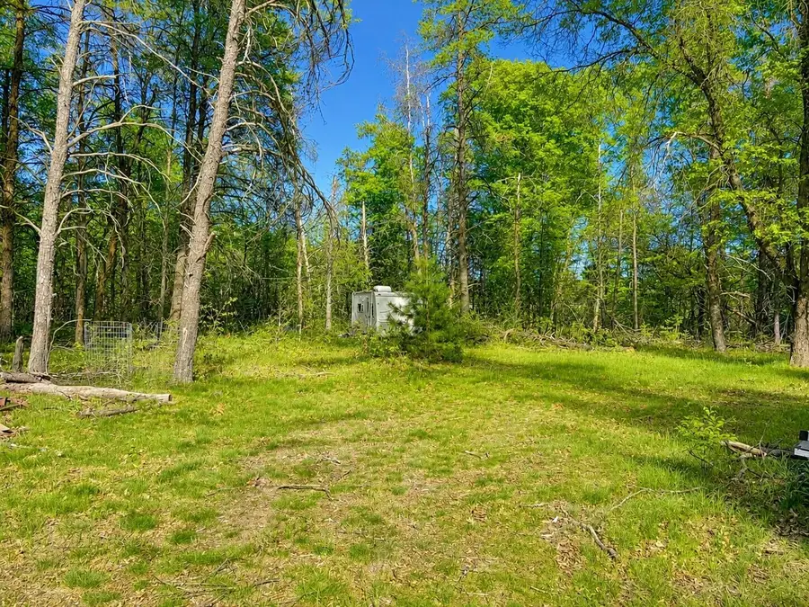 V/L Temple Drive, Marion, MI 49665 - #3