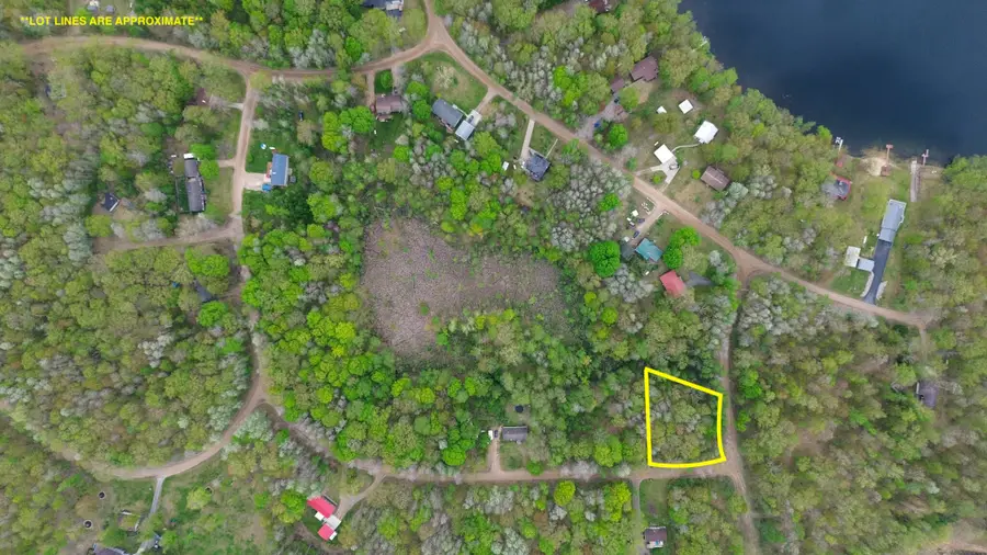 LOT 60 Buck Lane, Harrison, MI 48625 - #2