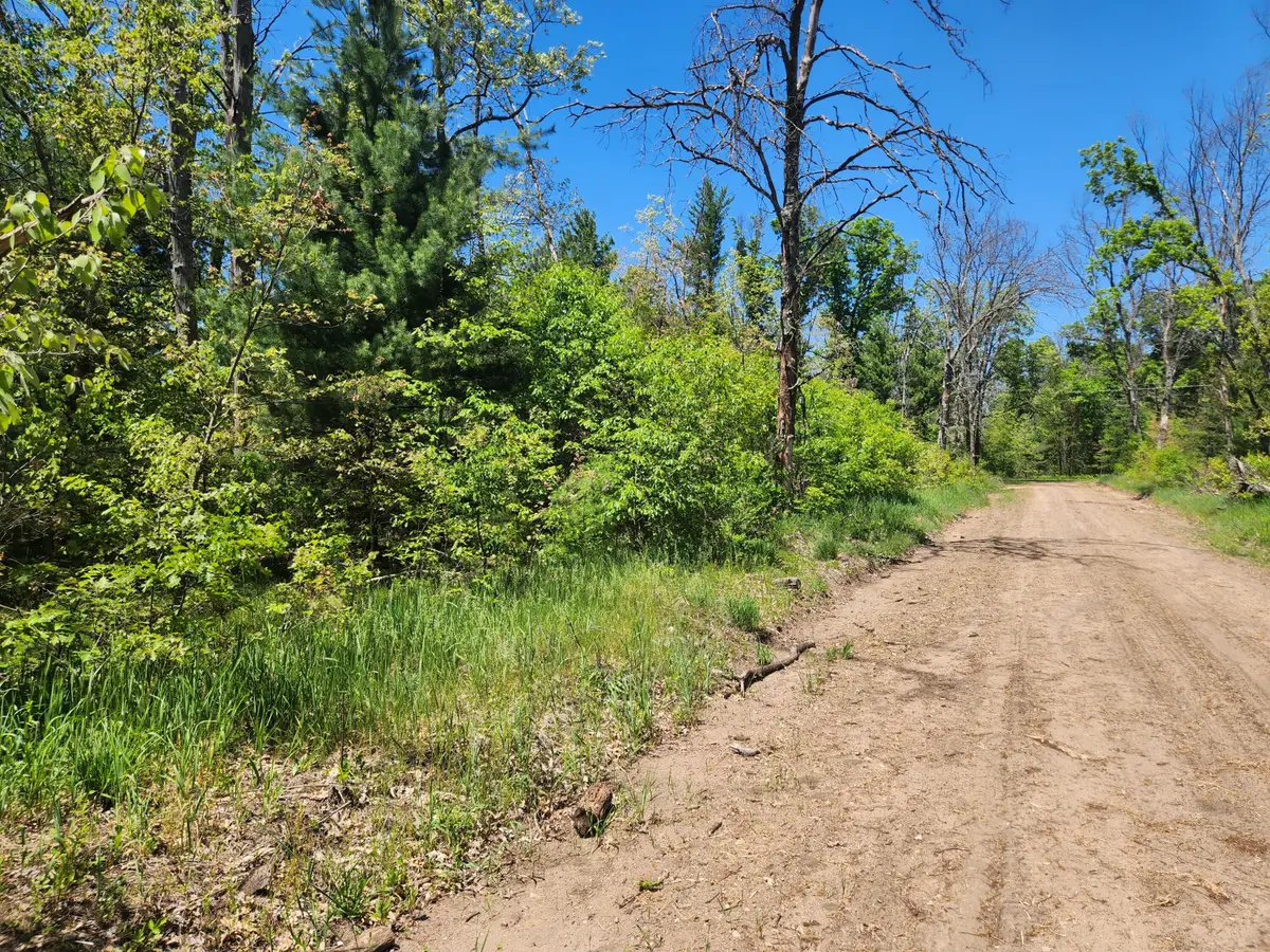 VL S Delaware Avenue, Baldwin, MI 49304 - #1