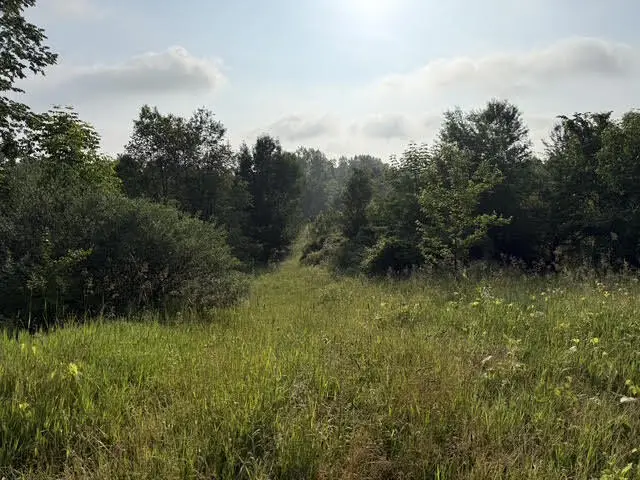 Parcel B E M-79, Nashville, MI 49073 - #3