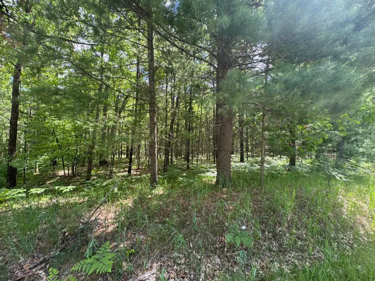 2830 W Pierce Drive, Brohman, MI 49312 - #1