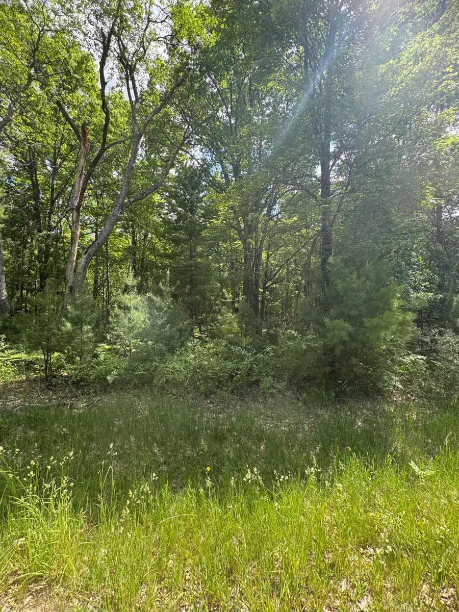 2830 W Pierce Drive, Brohman, MI 49312 - #2