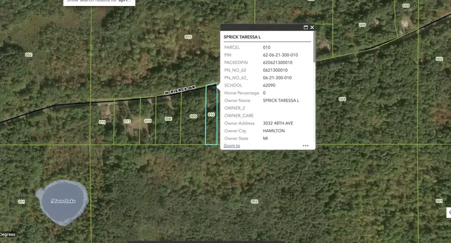 2848 W Pierce Drive, Brohman, MI 49312 - #3