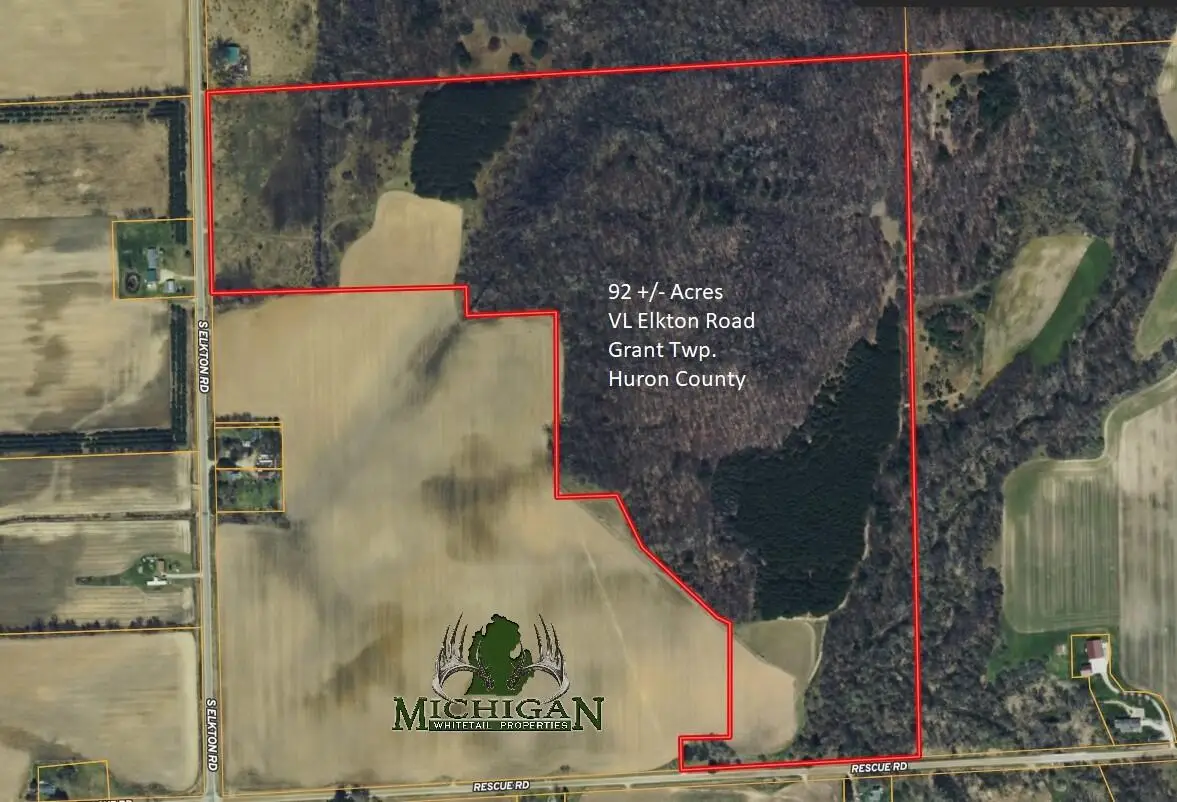 VL Elkton Road, Owendale, MI 48754 - #1
