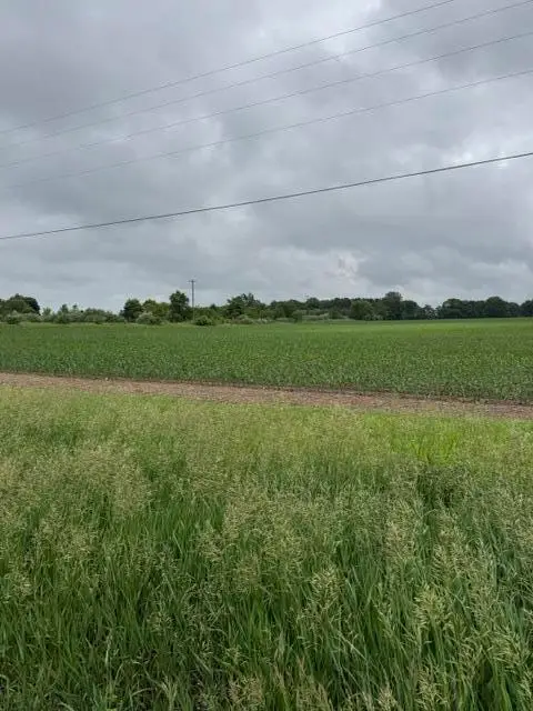 V/L Satterlee Road, Greenville, MI 48838