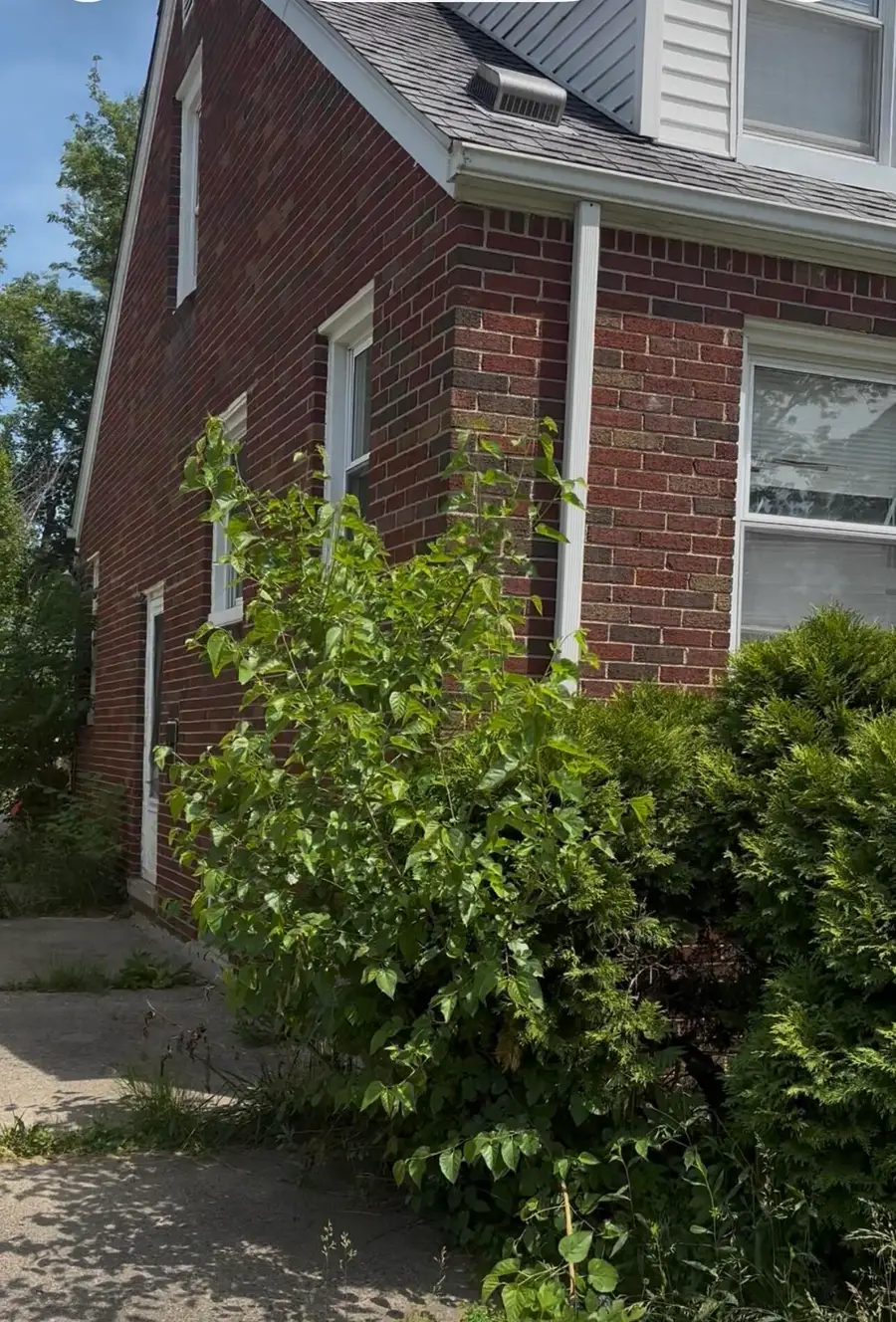 9824 Philip Street, Detroit, MI 48224 - #3