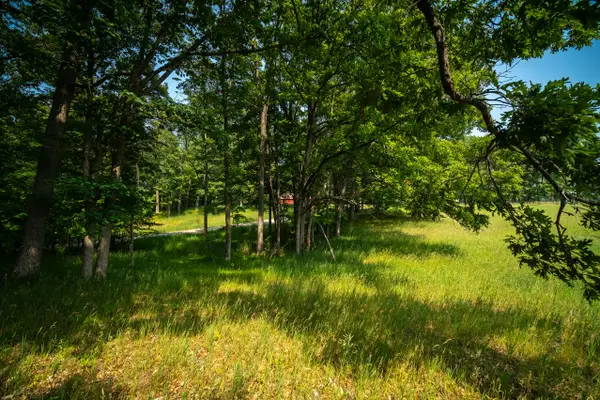 8161 N Hunters Ridge Drive, Irons, MI 49644