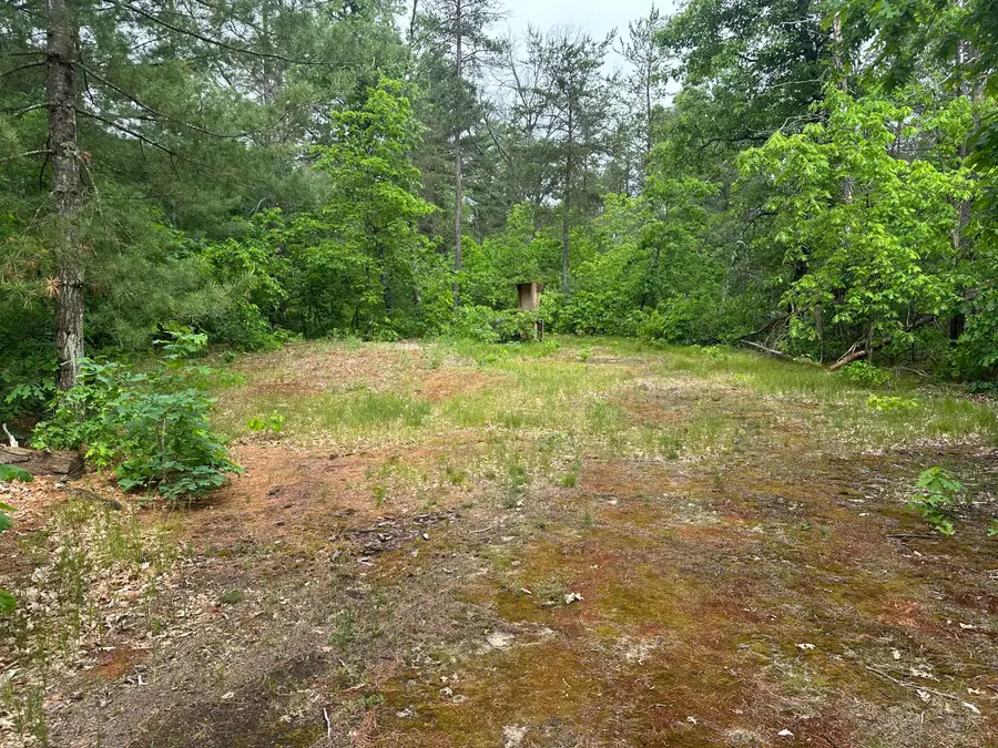 6667 S Dillard Street, Baldwin, MI 49304 - #2