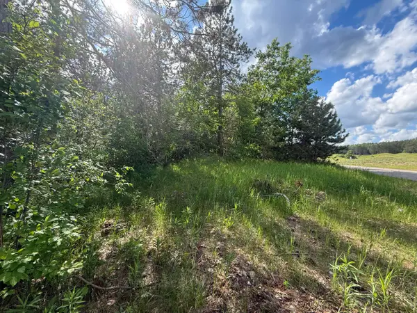 V/l Bear Paw Trail #10, Vanderbilt, MI 49795