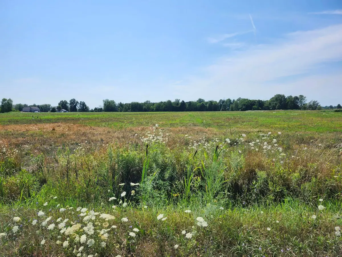 5425 88th Avenue, Zeeland, MI 49464 - #1