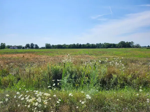 5425 88th Avenue, Zeeland, MI 49464