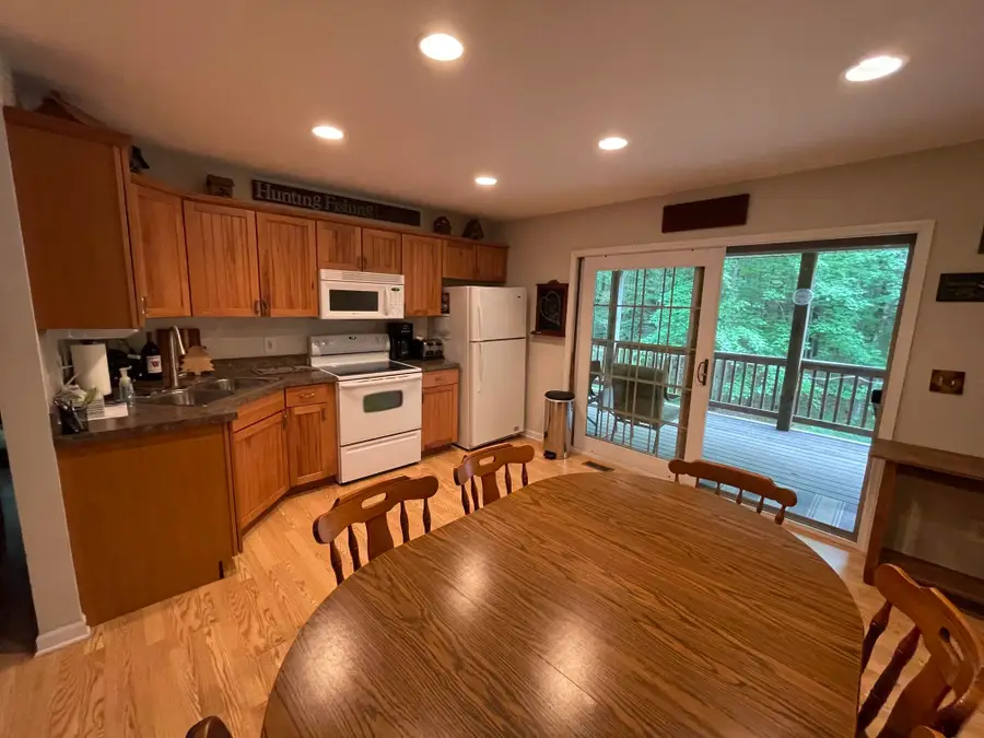 8725 W River Road, Irons, MI 49644 - #2