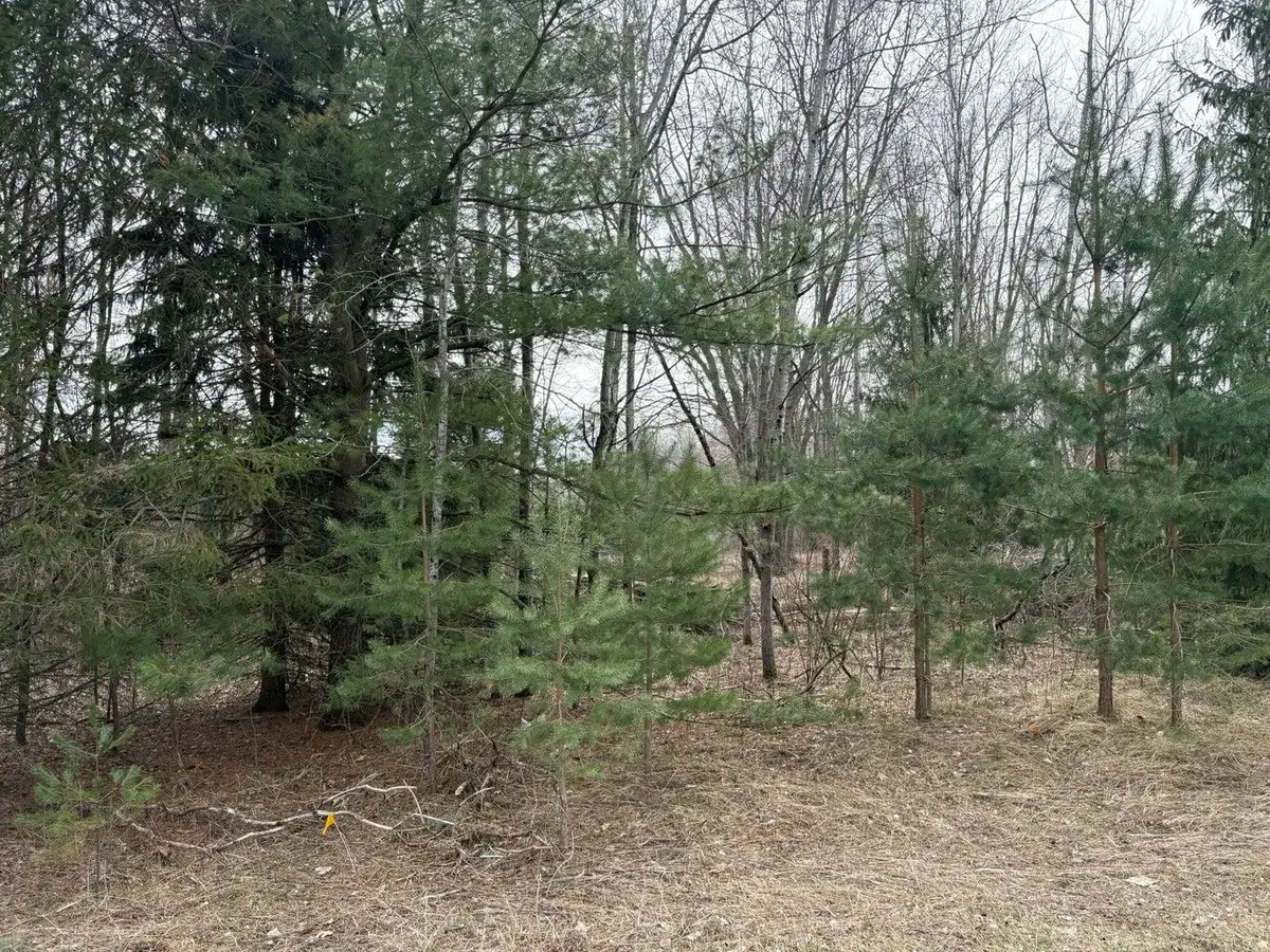 17850 Sparta Avenue Nw, Kent City, MI 49330 - #1