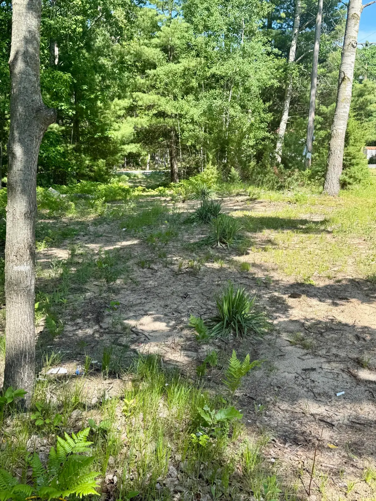 998 Grass Lake Avenue, Lake, MI 48632 - #1