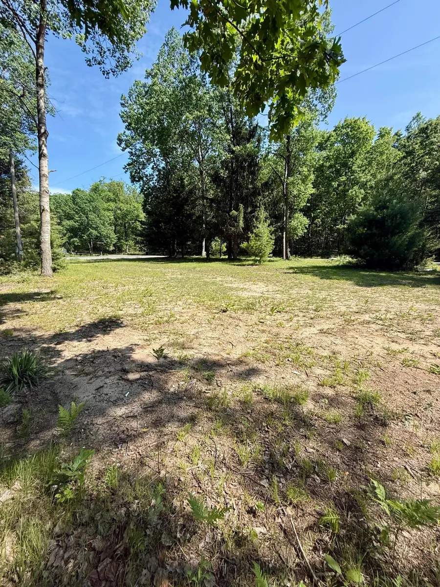998 Grass Lake Avenue, Lake, MI 48632 - #2