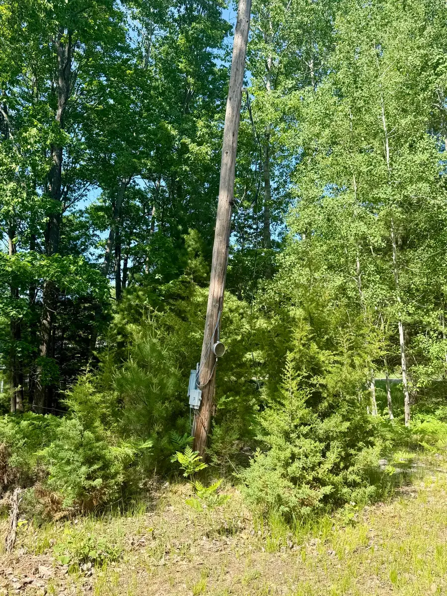 998 Grass Lake Avenue, Lake, MI 48632 - #3