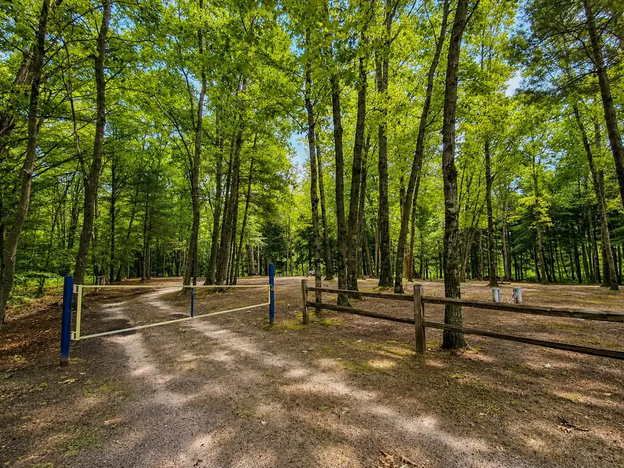 7094 S 128th Avenue, Rothbury, MI 49452 - #3