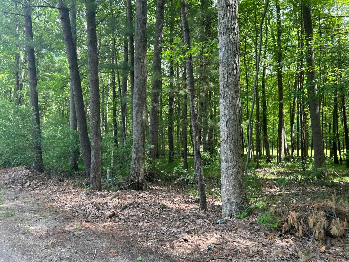 11409 Heather Lane #35, Canadian Lakes, MI 49346 - #1