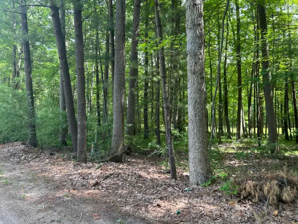 11409 Heather Lane #35, Canadian Lakes, MI 49346
