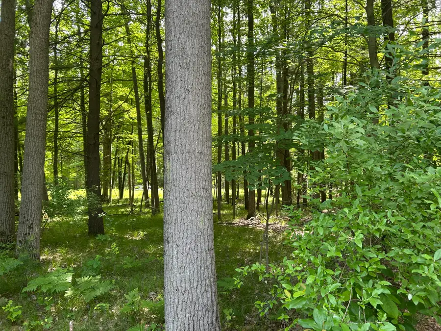 11409 Heather Lane #35, Canadian Lakes, MI 49346 - #3