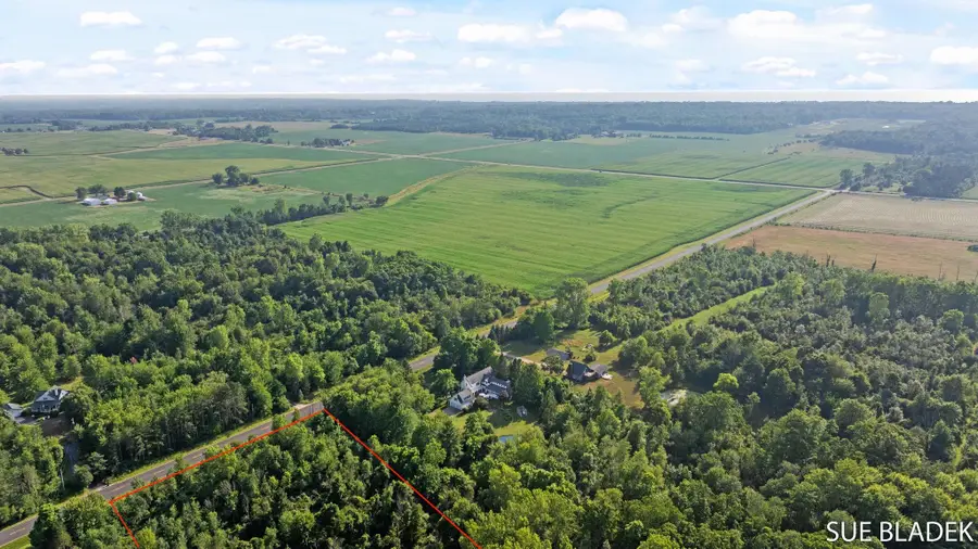V/L 127th Avenue, Fennville, MI 49408 - #2