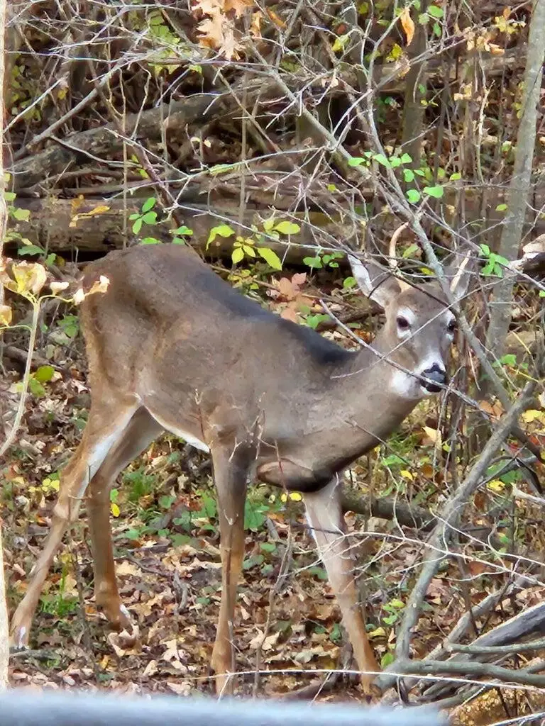 V/L E L, Kalamazoo, MI 49048 - #3