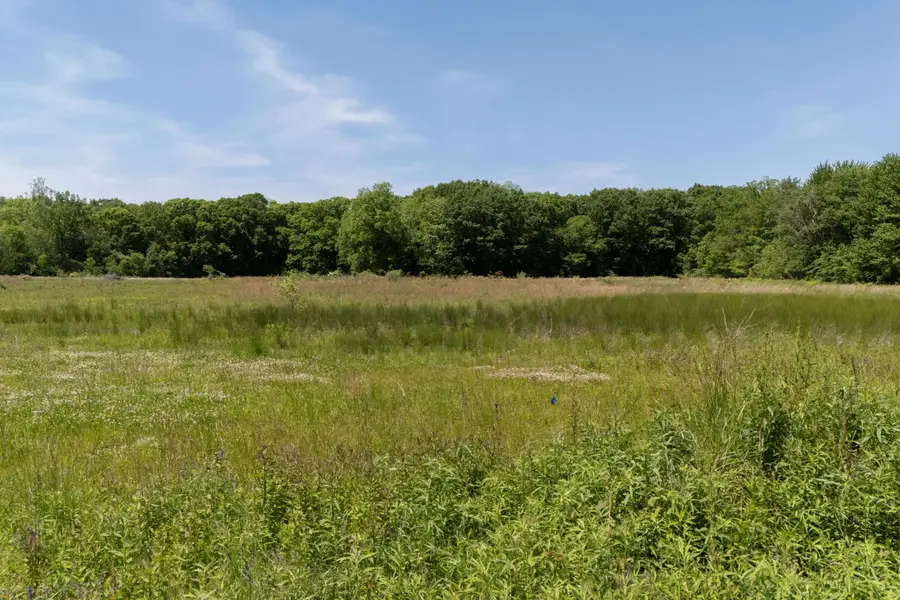 V/L #2 Lakeside Road, New Buffalo, MI 49117 - #2