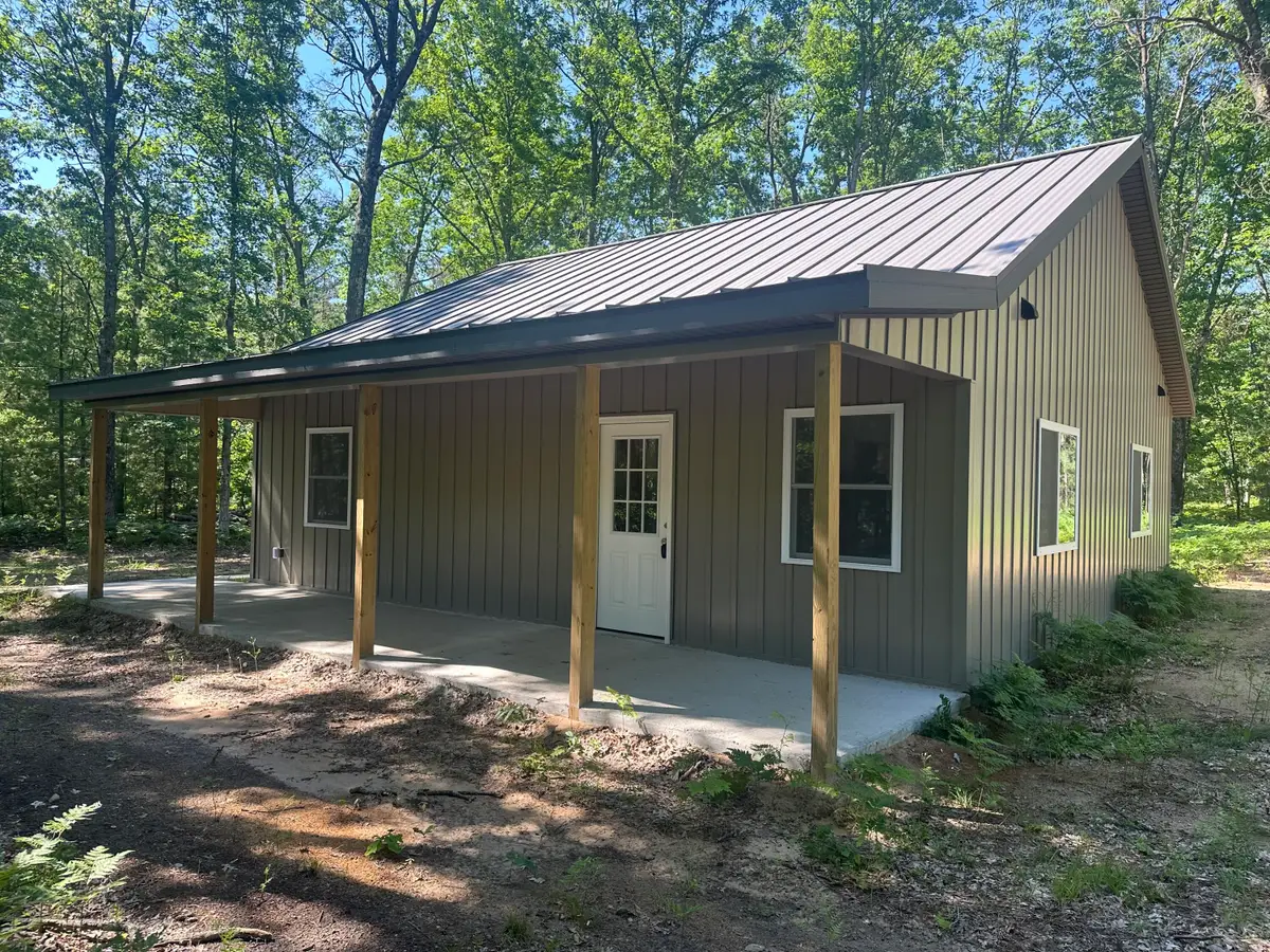 13261 S Star Lake Drive, Baldwin, MI 49304 - #1