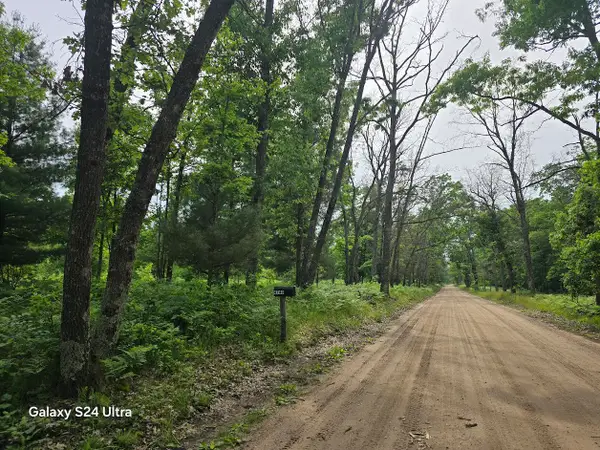 4749 W 9 Mile Road, Irons, MI 49644