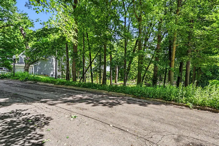 911 N Wooded Lane, Marshall, MI 49068 - #3